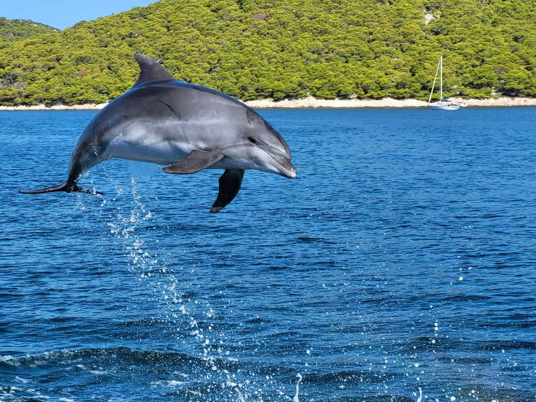 half day experience 01